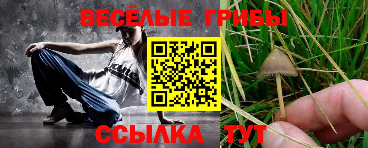 Галлюциногенные грибы MAGIC MUSHROOMS  Вход с VPN  наркошоп  Ейск 